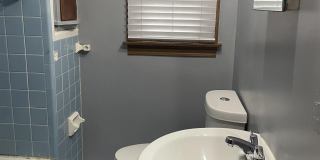 16173 Forest Gallery 5