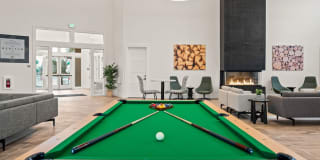 Meritum Evergreen Gallery 20
