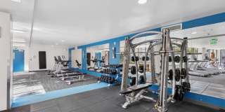 Eleanor Eleanor Gallery 2