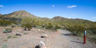 Meritum Sonoran Desert Gallery 45