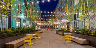 The Piper Gallery 43