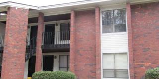 Newly Renovated- 2 bedroom, 2 bathroom apartment-Willow Run Apartments Gallery 1