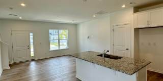 Brand New Townhome in Pringle Town Gallery 4