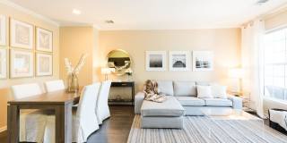 IMT Cherry Creek Gallery 11