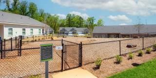 Hardy Springs 55+ Active Adult Apartment Homes Gallery 22