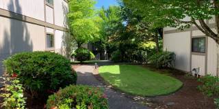 Hilltop Apartments Gallery 38