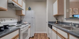 Saddle Ridge Gallery 10