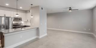 Can Plant Gallery 32