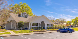 Ellevate St. Ives Gallery 26