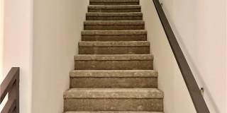 2074 Wild Wood Gallery 10