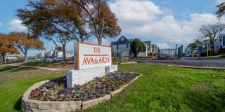 The Ava and Aria Gallery 1