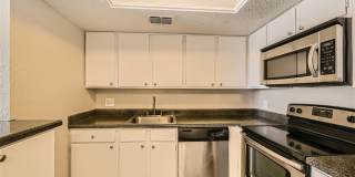 Rise Spring Pointe Gallery 91