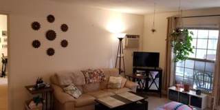 University Park Gallery 237