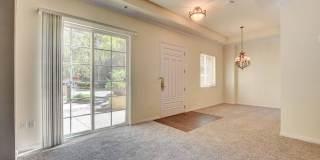 Boca Raton Gallery 31