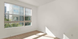Sakura Crossing Gallery 55