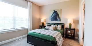 The Strand at Beulah Gallery 41