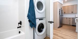 The Rigney Gallery 12