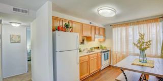 Melvin Park Gallery 29