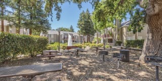 Wood Creek Gallery 15