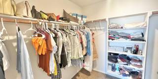 1307 Cesarina St. Gallery 20