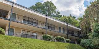 Selwyn Flats Gallery 41