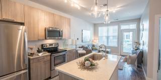 Mayfair Reserve Gallery 12