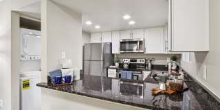 Vetra Chandler Gallery 25