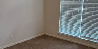 3 BR/2BA | Newly Renovated Single Family Home |Attached garage  | Fenced  backyard | In Cordova! Gallery 16