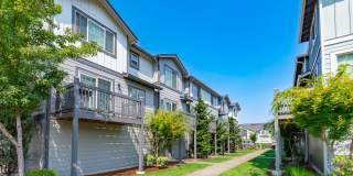 Aster Townhomes Gallery 5