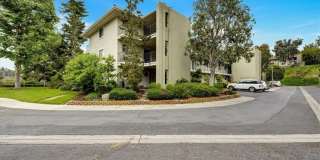 3338 Punta Alta Gallery 18