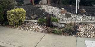 LOCATION LOCATION...CONVENIENTLY LOCATED NEAR 880...3 BED AND 2 BATH WITH LARGE FAMILY ROOM! Gallery 1