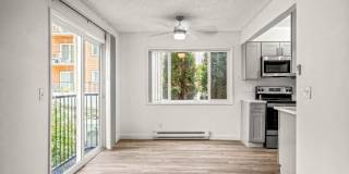 Alpine Apartments Gallery 8