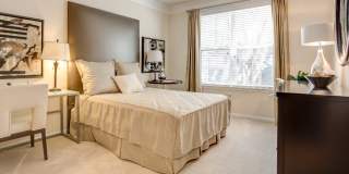 Emerson at Cherry Lane Gallery 45