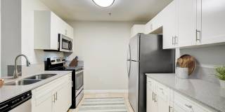 Savona Grand Gallery 4