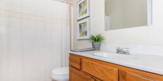 Walnut Springs Apartments Gallery 22