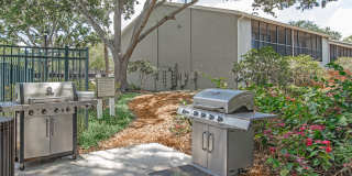 Solana Vista Gallery 14