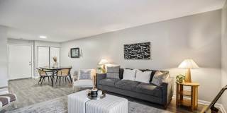 Compass Vista Gallery 4