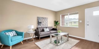 The Julep Gallery 80