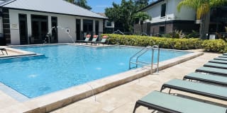 Palms of Clearwater Gallery 15