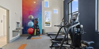 The Canvas Gallery 18