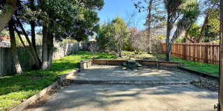 Fantastic House with Expansive Backyard and Large Detached Garage Gallery 4