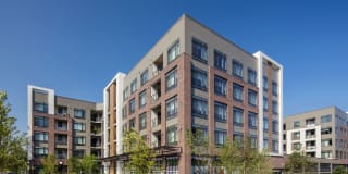 Avalon Great Neck Gallery 8