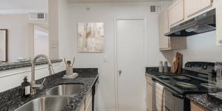 Medical Center Gallery 4