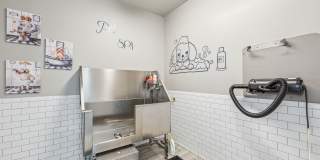 Waterside at RiverPark Place Gallery 33