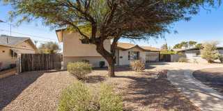 Great Location close to Old Town Scottsdale! Gallery 24