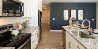 Advenir at Flowery Branch Gallery 2