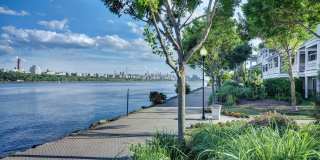 Windsor at Mariners Gallery 49