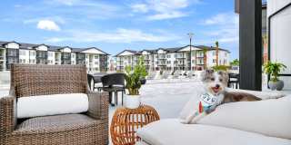 NOVO Avian Pointe Gallery 22