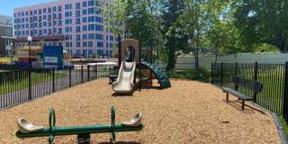 10590 RED OAK Street Gallery 67