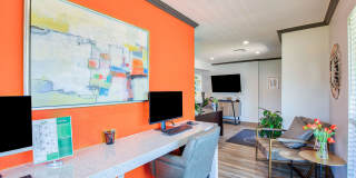 The Palm on SPID Gallery 21